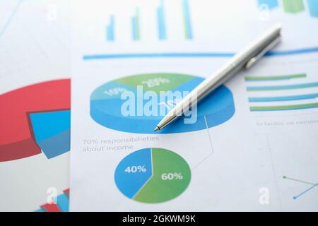 Stylo à bille en métal argenté couché sur des documents avec des graphiques et des diagrammes de gros plan Banque D'Images