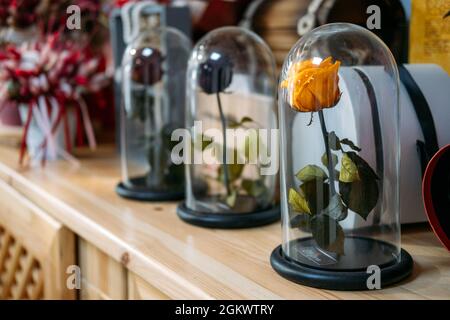 Roses stabilisées conservées dans la boutique fleuriste, boutique. Tête de fleur conservée, rose infini en dôme de verre, en véritable rose de beauté fraîche Banque D'Images