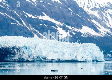 Le terminus du glacier Margerie dans le bras de mer Tarr, parc national de Glacier Bay, en Alaska Banque D'Images