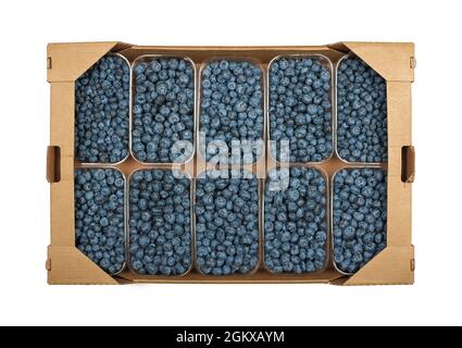 Fermez une boîte en carton marron avec plusieurs récipients en plastique de bleuets mûrs frais, isolés sur fond blanc, vue en hauteur, directement Banque D'Images