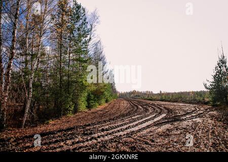 route après avoir coupé les arbres avec des traces d'équipement forestier lourd Banque D'Images