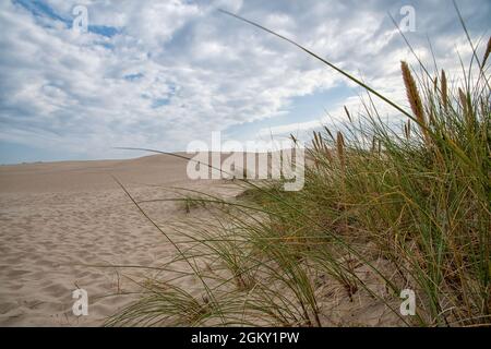 L'immense dune Rabjerg Mile au Danemark Banque D'Images