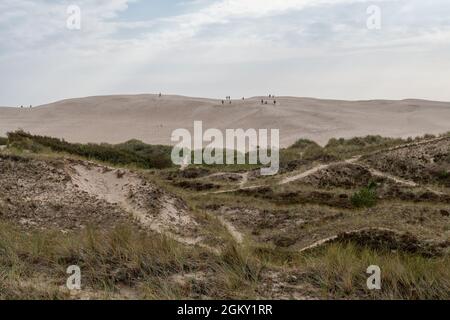 L'immense dune Rabjerg Mile au Danemark Banque D'Images