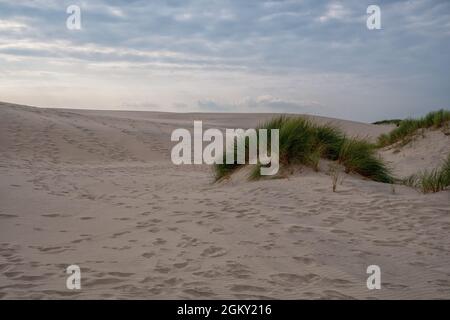 L'immense dune Rabjerg Mile au Danemark Banque D'Images