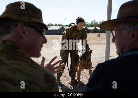 Caporal de lance de l'armée australienne Codey Merlino, maître de chien de la police militaire du 1er Bataillon de la police militaire, présente son chien de travail militaire, « Apache », au lieutenant colonel Steve Pata, chef d’état-major du Land Warfare Center (à gauche), Et son Excellence l'honorable Paul de Jersey Compagnon de l'ordre de l'Australie, Commandant de l'ordre royal victorien, Gouverneur du Queensland (à droite), lors d'une démonstration militaire de chiens de travail pendant TS21 à la caserne de Lavarack dans le Queensland, en Australie, le 26 juillet 2021. Le rôle du gouverneur englobe un large éventail de fonctions et de responsabilités importantes Banque D'Images