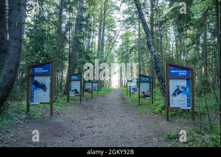 Spit de Keronian, région de Kaliningrad, Russie, 31 janvier 2021. Affiches d'animaux et d'oiseaux rares. Stands avec des photos d'espèces menacées de flore et Banque D'Images