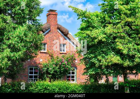 Maison traditionnelle frisonne en brique à Wiesmoor près d'Ottermeer Banque D'Images