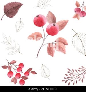 Motif aquarelle sans coutures feuilles d'automne sur fond blanc. Aquarelle peinte à la main avec motif baies de rowan pour décoration à l'automne fe Illustration de Vecteur