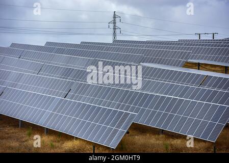 Ceclavon, Caceres, Espagne. 15 septembre 2021. La centrale photovoltaïque de Ceclavin construite et gérée par Iberdrola avec 850000 modules et la puissance finale sera de 328MW. Le gouvernement espagnol a annoncé une enquête contre la société énergétique Iberdrola, en raison de la vidange soudaine de deux réservoirs hydroélectriques: Ricobayo (Zamora) et Valdecañas (CÃceres), pendant le pic du prix de la production d'énergie. Iberdrola a augmenté la production d'énergie hydroélectrique de 37.9% au cours de la première moitié de l'année. Il y a maintenant un troisième cas possible en cours d'enquête, le deuxième plus grand hydr espagnol Banque D'Images