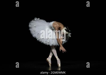 The Dying Swan interprété par Christine Shevchenko dans le cadre du gala du ballet ukrainien à Sadler’s Wells, Londres, Royaume-Uni Banque D'Images