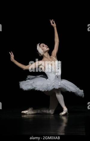 The Dying Swan interprété par Christine Shevchenko dans le cadre du gala du ballet ukrainien à Sadler’s Wells, Londres, Royaume-Uni Banque D'Images