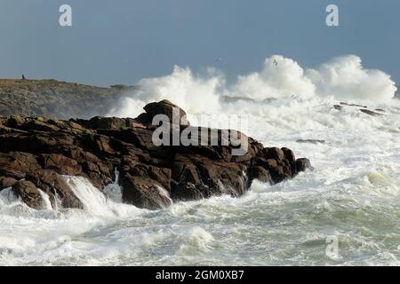 FRANCE. MORBIHAN (56) PLOEMEUR - PAYS DE LORIENT- TEMPÊTE À KERROCH. (PHOTO NON DISPONIBLE POUR LE CALENDRIER OU LA CARTE POSTALE) Banque D'Images