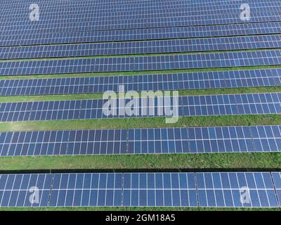 Panneaux solaires, vue de dessus. Arrière-plan du domaine des panneaux solaires. Énergie solaire écologique Banque D'Images