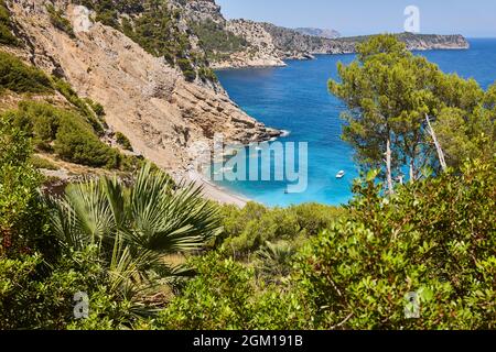 Eaux turquoise de Majorque. Plage de Coll Baix. Côte méditerranéenne. Espagne Banque D'Images