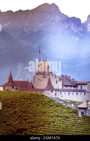 Célèbre château Chateau d'Aigle, entre les vignobles du canton de Vaud, Suisse Banque D'Images