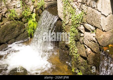 Petites chutes d'eau; chutes d'eau. Nature. Mousse générée par la cascade. Eau en mouvement. Banque D'Images