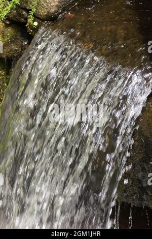 Petites chutes d'eau; chutes d'eau. Nature. Mousse générée par la cascade. Eau en mouvement. Banque D'Images