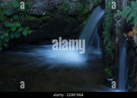 Petites chutes d'eau; chutes d'eau. Nature. Mousse générée par la cascade. Eau en mouvement. Banque D'Images