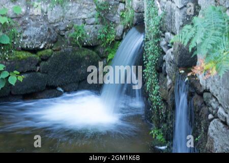Petites chutes d'eau; chutes d'eau. Nature. Mousse générée par la cascade. Eau en mouvement. Banque D'Images