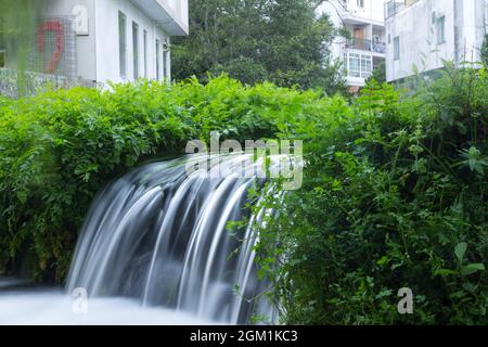 Petites chutes d'eau; chutes d'eau. Nature. Mousse générée par la cascade. Eau en mouvement. Banque D'Images