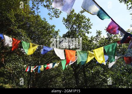 Des cordes de drapeaux de prière colorés pendent parmi les arbres au-dessus d'un sentier forestier dans la campagne du Bhoutan. Les légendes retracent l'origine du drapeau de prière vers Bouddha. Banque D'Images