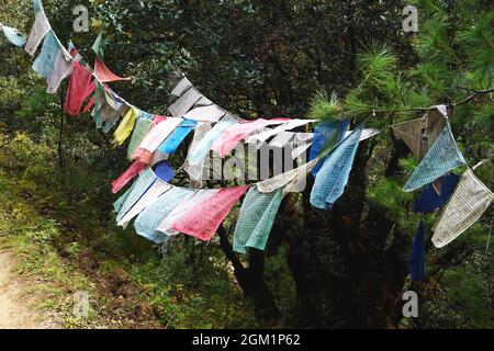 Des rangées de drapeaux de prière colorés se brandent dans la brise le long d'un sentier forestier dans la campagne du Bhoutan. Les légendes retracent l'origine du drapeau de prière vers Bouddha. Banque D'Images