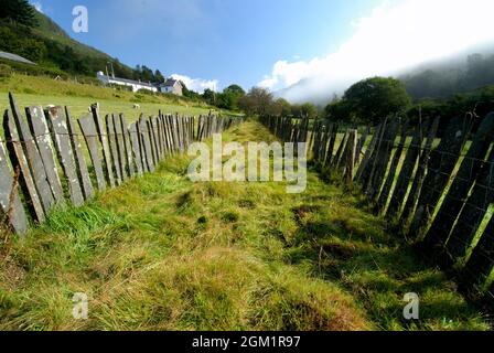 Tramway disutilisé à Corris Gwynedd Royaume-Uni Banque D'Images