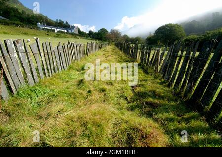 Tramway disutilisé à Corris Gwynedd Royaume-Uni Banque D'Images