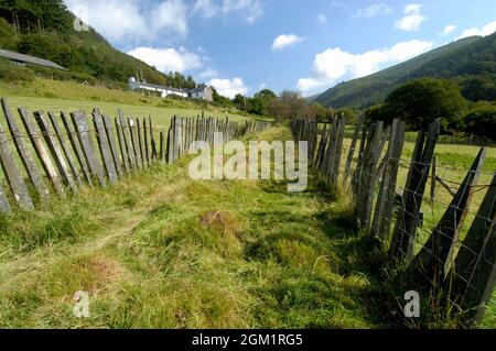 Tramway disutilisé à Corris Gwynedd Royaume-Uni Banque D'Images