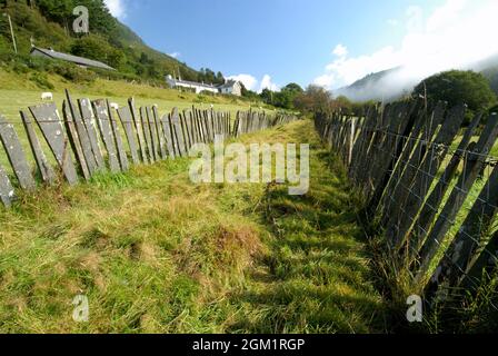 Tramway disutilisé à Corris Gwynedd Royaume-Uni Banque D'Images