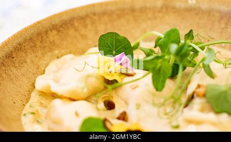 Cuisine traditionnelle, voyage culinaire et gastronomique, boulettes maison dans une recette de sauce aux champignons, pierogi polonais dans un restaurant de luxe dans la vieille ville Banque D'Images