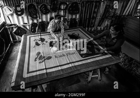 Belle photo dans la province de Dong Thap au sud du Vietnam Banque D'Images