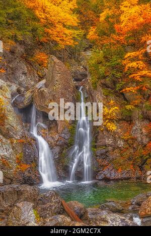 Bash Bish Falls - le feuillage d'automne entoure la plus haute chute d'eau de l'État, à Mount Washington, dans le Massachusetts, en Nouvelle-Angleterre. Cette image est également ava Banque D'Images