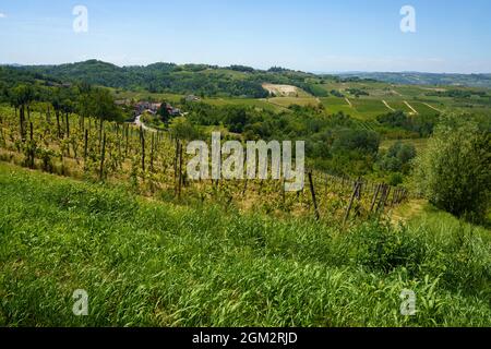 Paysage rural au printemps à Monferrato près de Rivalta Bormida, province d'Alessandria, Piémont, Italie, site du patrimoine mondial de l'UNESCO. Banque D'Images