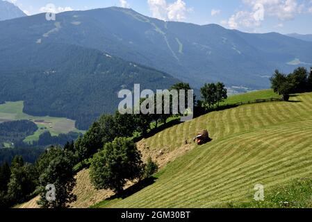 Paysans travaillant dans les champs de 1400 mètres de haut dans les montagnes au-dessus du village de percha à Val Pusteria Banque D'Images