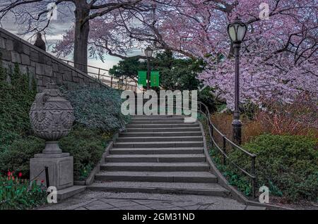 Cerisiers en fleurs dans Central Park New York - cerisiers en fleurs avec lampadaires de rue anciens et escalier dans le célèbre monument de Centra Banque D'Images