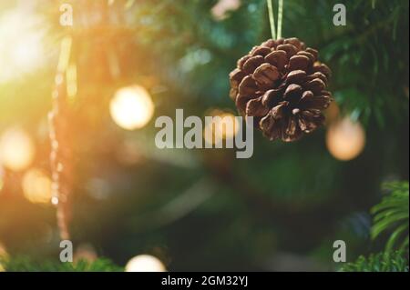 Cône de pin doré sur fond vert de Noël flou Banque D'Images