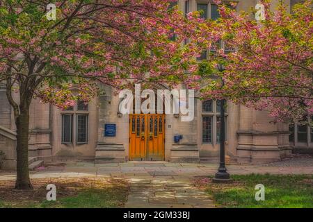 Yale University Sheffield-Sterling-Strathcona Hall - vue extérieure sur l'entrée arrière de l'auditorium. L'université de Yale est une Ivy privée américaine Banque D'Images