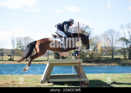 Photos de compétitions équestres, y compris le cavalier de chasseur et le cheval de fond cavaliers Banque D'Images