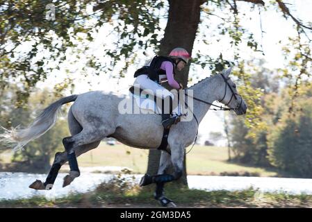 Photos de compétitions équestres, y compris le cavalier de chasseur et le cheval de fond cavaliers Banque D'Images