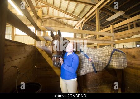 Photos de compétitions équestres, y compris le cavalier de chasseur et le cheval de fond cavaliers Banque D'Images