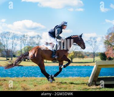 Photos de compétitions équestres, y compris le cavalier de chasseur et le cheval de fond cavaliers Banque D'Images