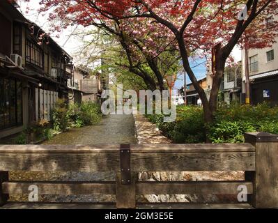 Promenade en bord de rivière Takase-gawa à Kyoto Banque D'Images