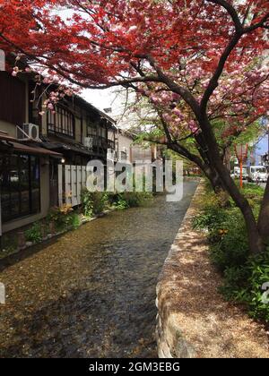 Promenade en bord de rivière Takase-gawa à Kyoto Banque D'Images