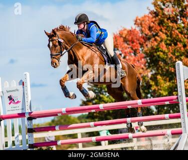 Photos de compétitions équestres, y compris le cavalier de chasseur et le cheval de fond cavaliers Banque D'Images