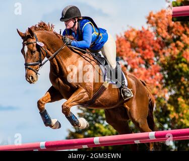 Photos de compétitions équestres, y compris le cavalier de chasseur et le cheval de fond cavaliers Banque D'Images