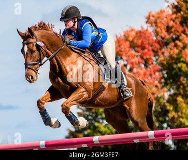 Photos de compétitions équestres, y compris le cavalier de chasseur et le cheval de fond cavaliers Banque D'Images