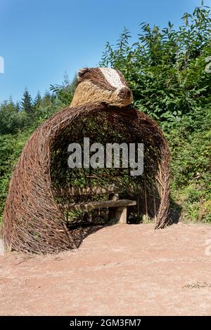 Forêt de Dean Gloucestershire, sentier de plongée temporaire. Banque D'Images