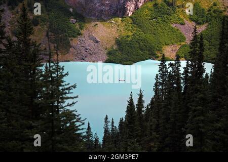 Le lac Louise en forme de coeur turquoise avec les arbres autour dans le parc national Banff au Canada Banque D'Images