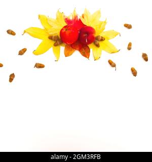 Composition automnale avec feuilles d'automne, pomme, cônes de pin sur fond blanc. Concept de jour de Thanksgiving. Flat lay, vue de dessus Banque D'Images